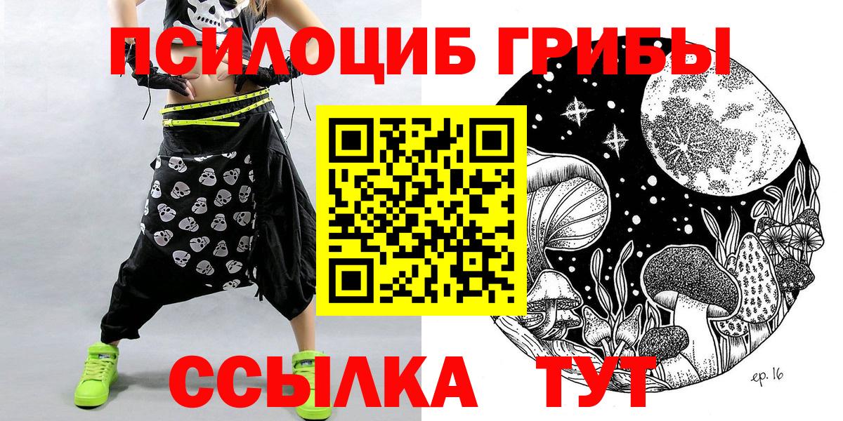 закладка  Галлюциногенные грибы MAGIC MUSHROOMS  Псилоцибиновые грибы Psilocybine cubensis  Вход с VPN  Южноуральск 