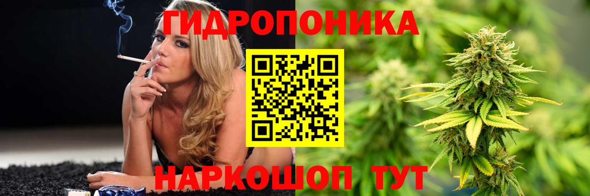 Бошки Шишки сатива Южноуральск